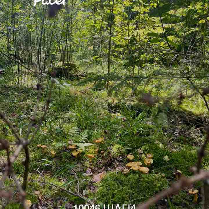 Оксана 🇷🇺 post 1