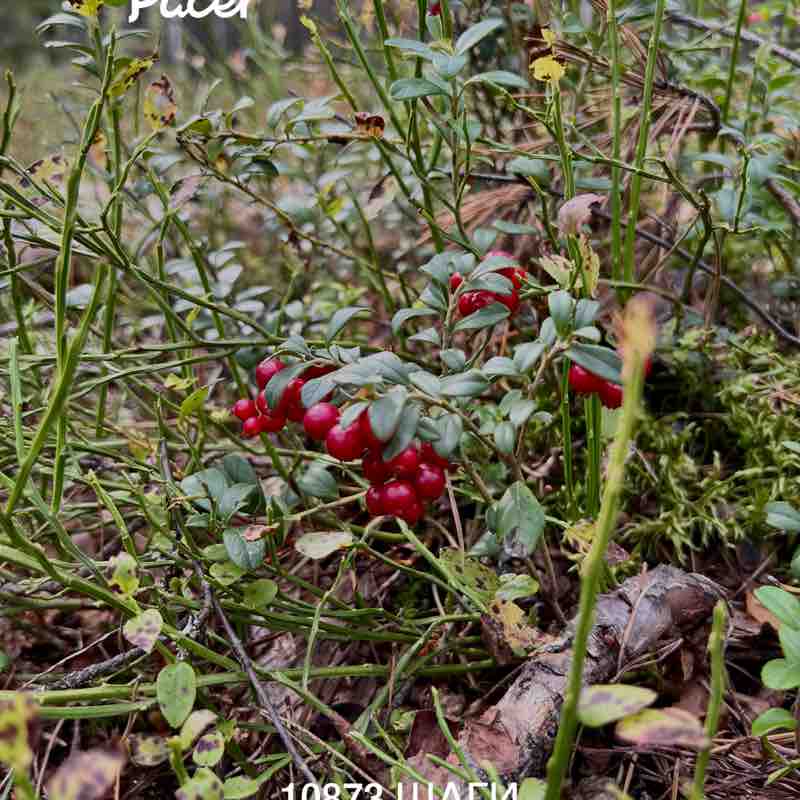 Оксана 🇷🇺 post 1