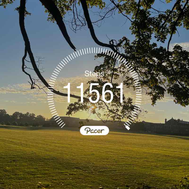 Dave 🚶🏽👣🎸🎶 post 1