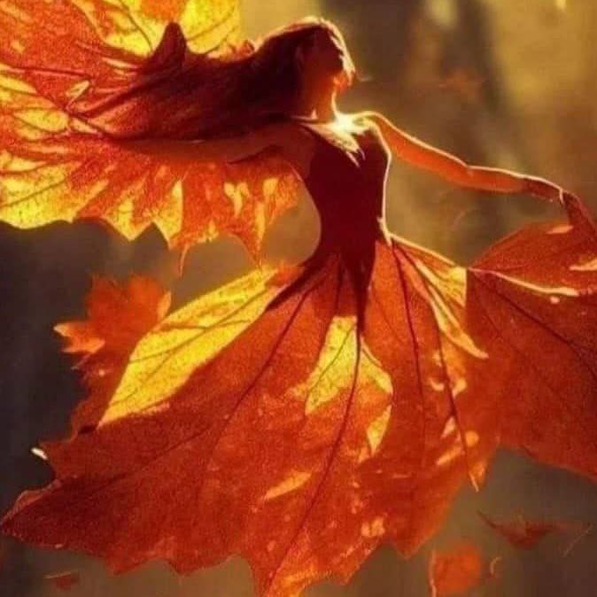 Niyooshaa.insta step challenge 🏃🏻‍♂️‍➡️Saeid🏃🏻‍♂️ post image