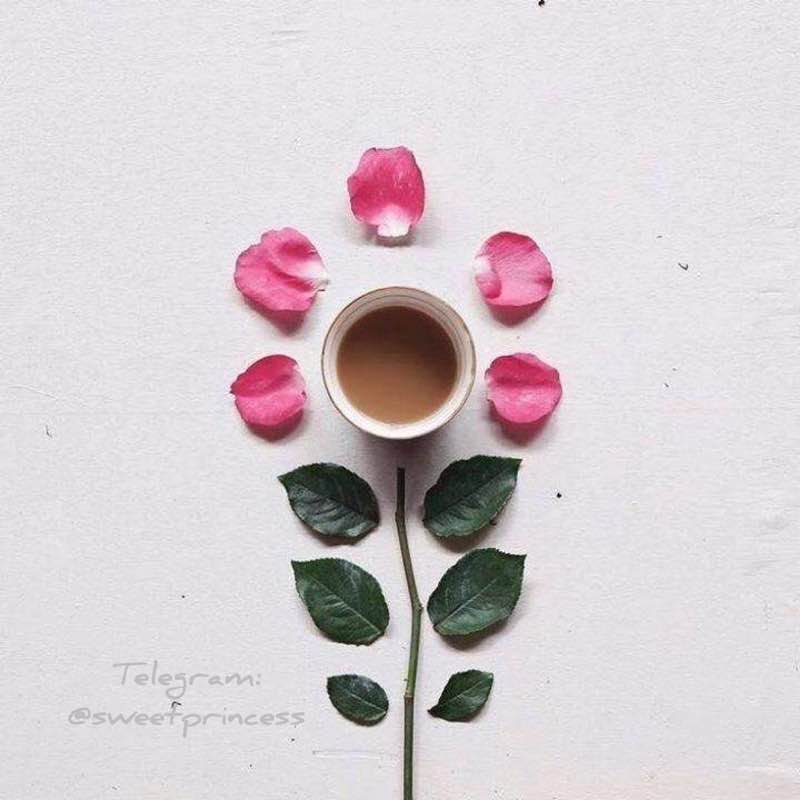 عادتسازي قدم شماري روزانه 🏃🏻‍♂️‍➡️Saeid🏃🏻‍♂️ post image