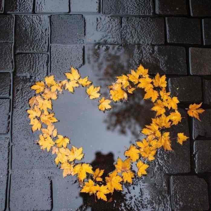 عادتسازي قدم شماري روزانه 🏃🏻‍♂️‍➡️Saeid🏃🏻‍♂️ post image