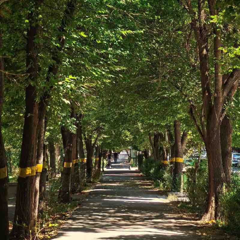 Esfahan اصفهان 🏃🏻‍♂️‍➡️Saeid🏃🏻‍♂️ post image