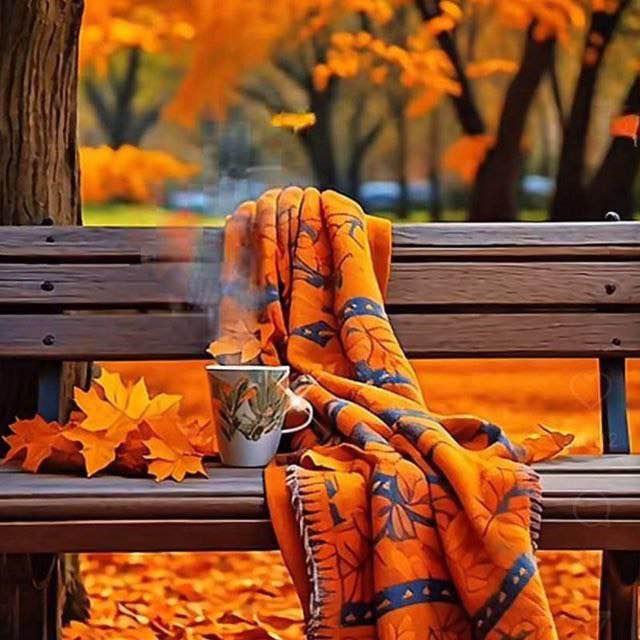 FITNESS 🏃🏻‍♂️‍➡️Saeid🏃🏻‍♂️ post image