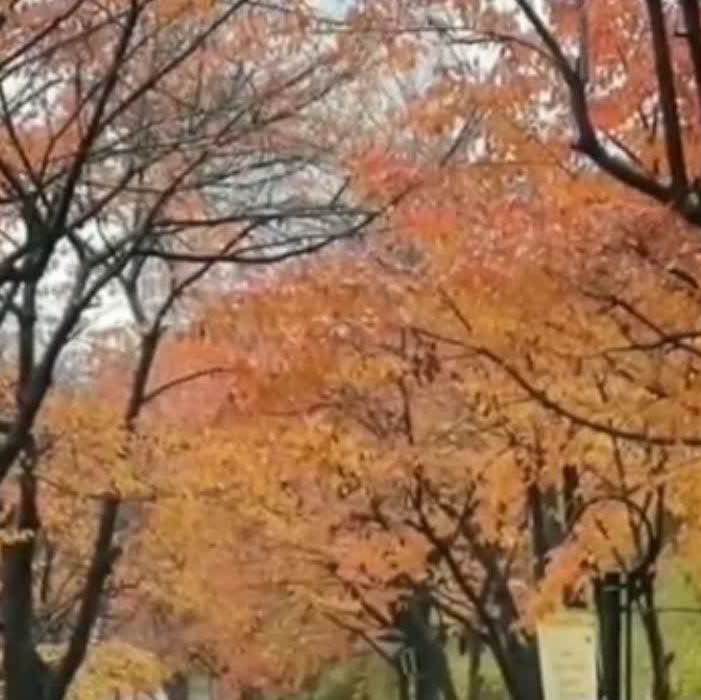 🏃🏻‍♂️حال خوب با پیاده روی 🏃🏻‍♂️‍➡️Saeid🏃🏻‍♂️ post image