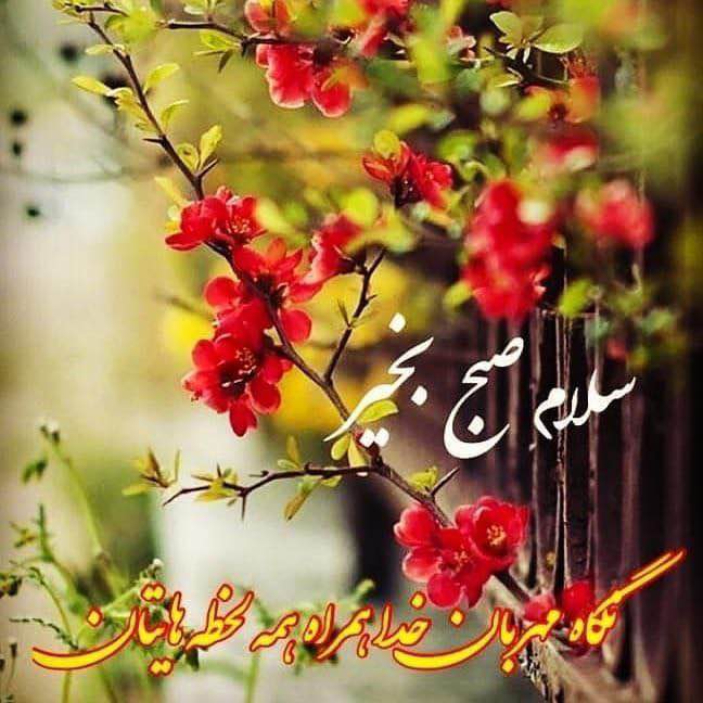 (Light Walk) پياده روى سَبُك 🏃🏻♂️➡️Saeid🏃🏻♂️ post image