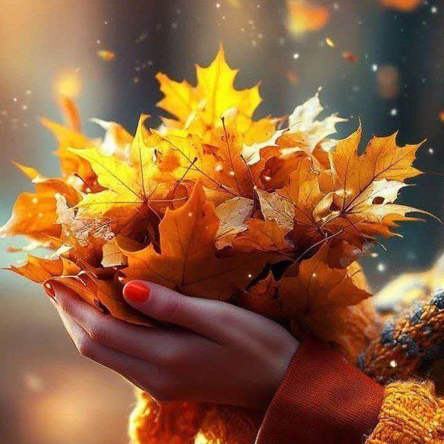 (Light Walk) پياده روى سَبُك 🏃🏻‍♂️‍➡️Saeid🏃🏻‍♂️ post image