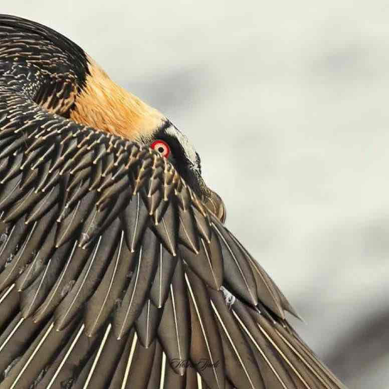 🎖️ حال خوب با پیاده روی 🎖️ 🏃🏻‍♂️‍➡️Saeid🏃🏻‍♂️ post image