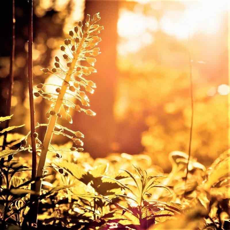حال خوب با پیاده روی 🔅 حال خوب با پیاده روی 🔅 post image