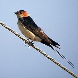 🎖️ حال خوب با پیاده روی 🎖️ 🎖️ حال خوب با پیاده روی 🎖️ post image