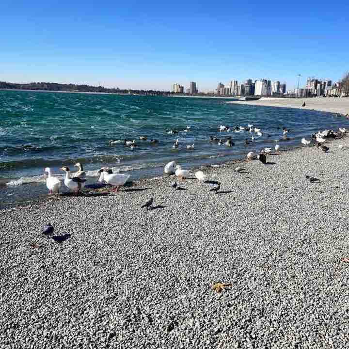 با من قدم بزن 🏃🏻‍♂️‍➡️Saeid🏃🏻‍♂️ post image