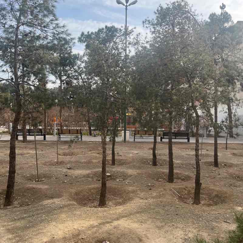 عادتسازي قدم شماري روزانه عادتسازي قدم شماري روزانه post image