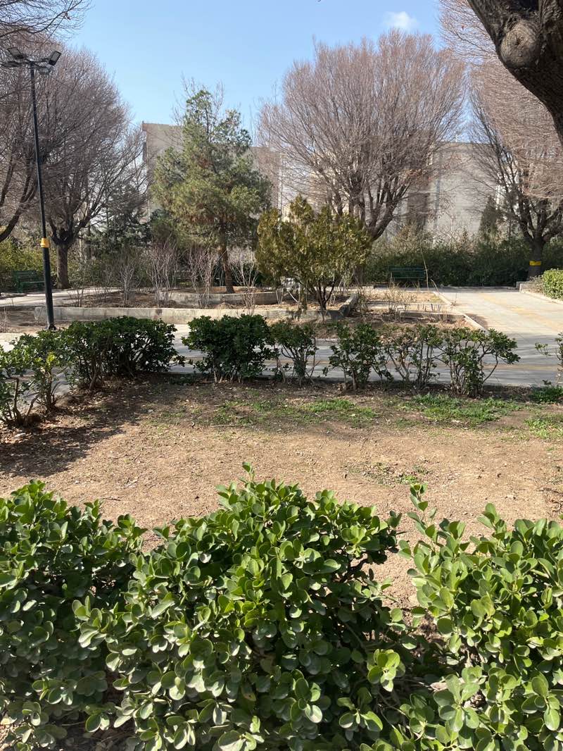 walking near me in بوستان ساحل in winter