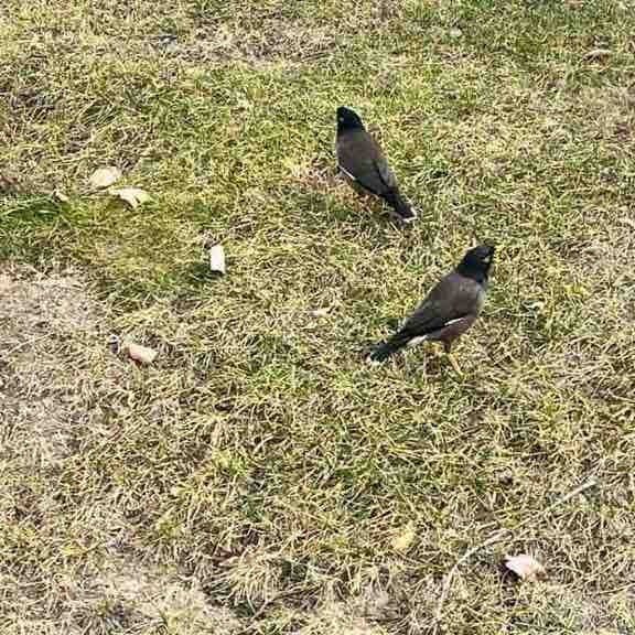 عادتسازي قدم شماري روزانه عادتسازي قدم شماري روزانه post image