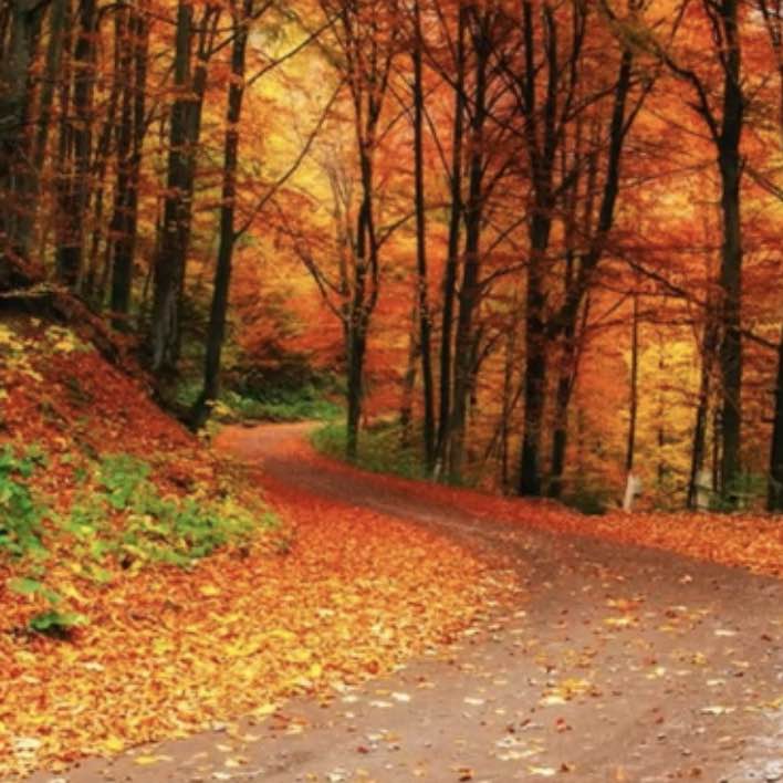 🎖️ حال خوب با پیاده روی 🎖️ 🎖️ حال خوب با پیاده روی 🎖️ post image