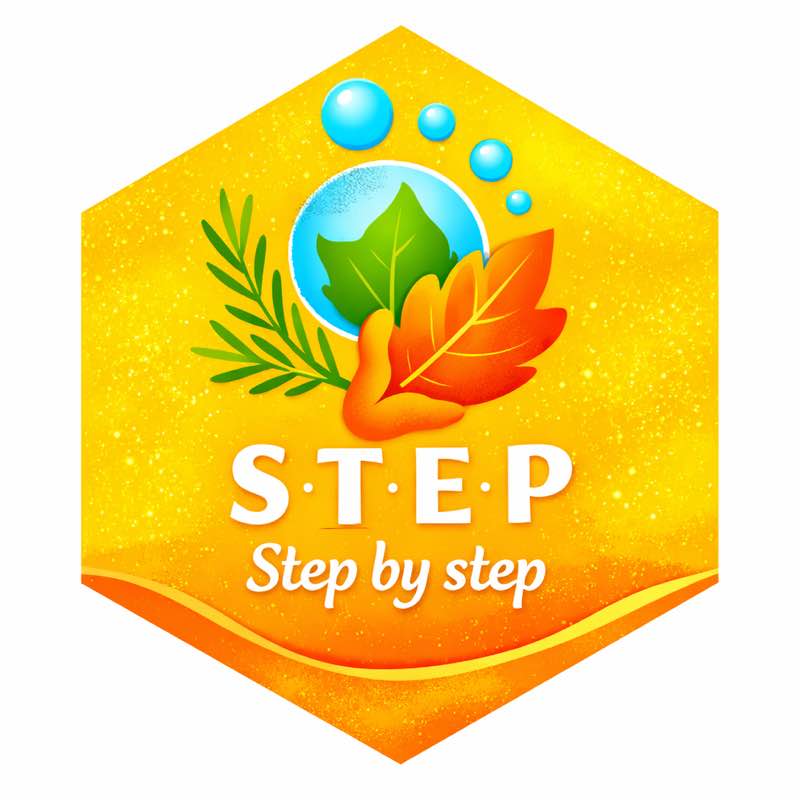 Aylin Daily Steps S A E I D post image