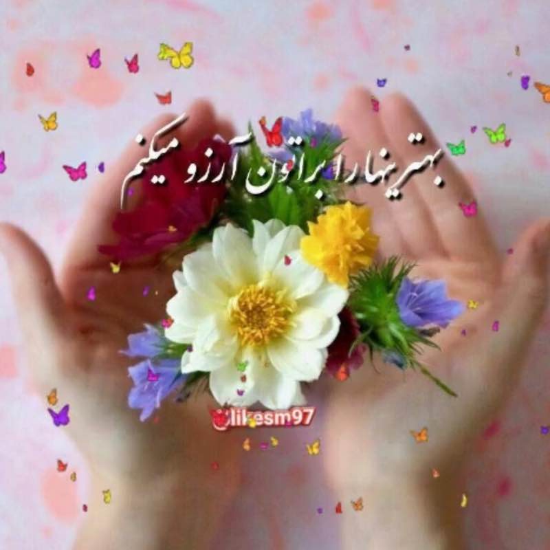 Saeid post 1