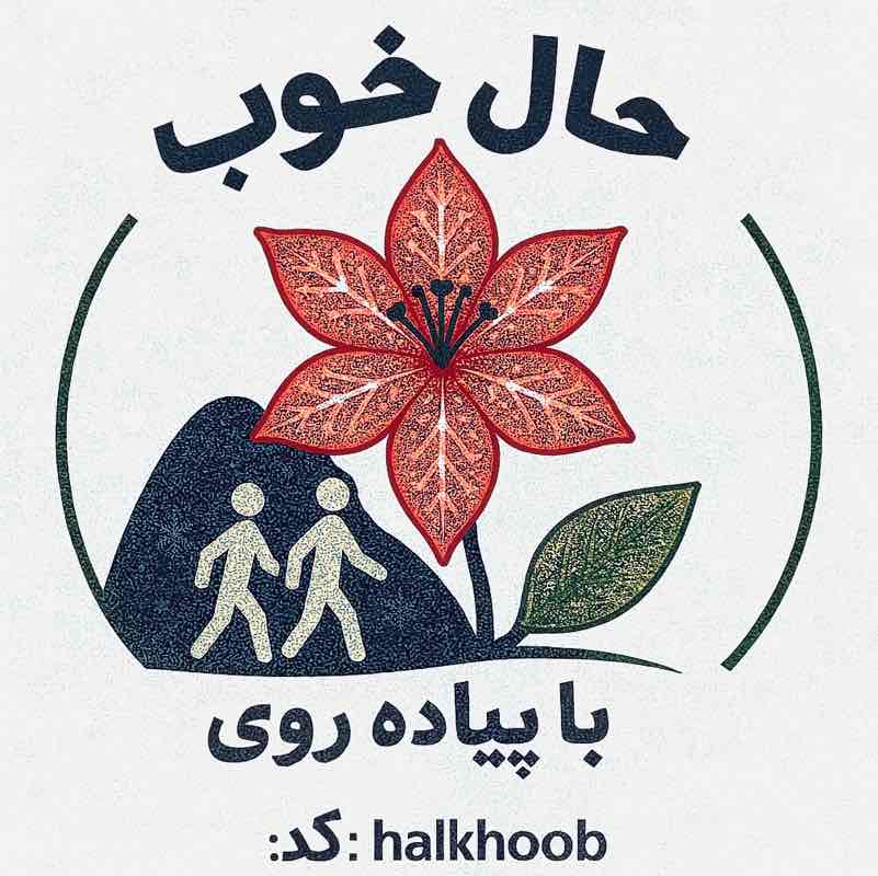 🍃عادتسازي قدم شماري روزانه✨ Saeid post image