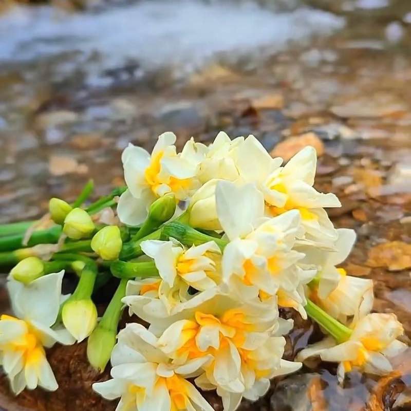 👭پیاده روی سلامتی گام به گام 👭پیاده روی سلامتی گام به گام post image