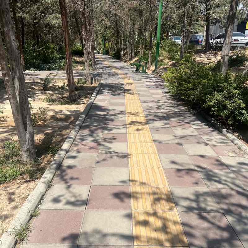 ππΎββοΈββ‘οΈPRIME PACE ππ½ββοΈ ππΎββοΈββ‘οΈPRIME PACE ππ½ββοΈ post image