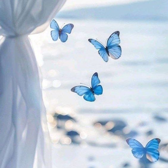 👭پیاده روی سلامتی گام به گام 👭پیاده روی سلامتی گام به گام post image