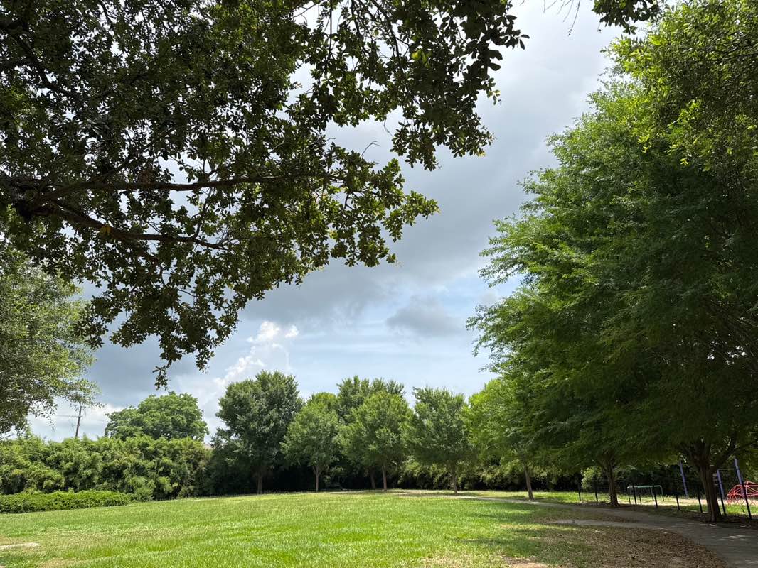 walking near me in Mickey Markey Playground in spring