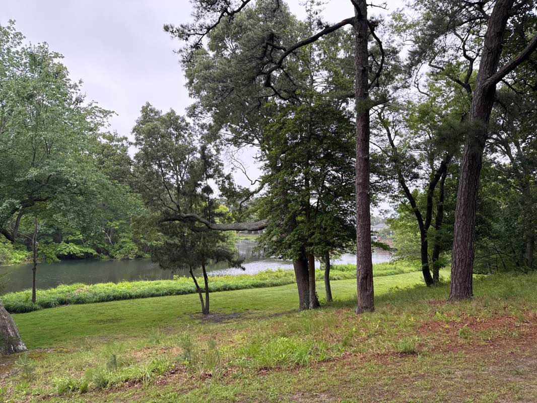 walking near me in Lake Gerar Park in summer