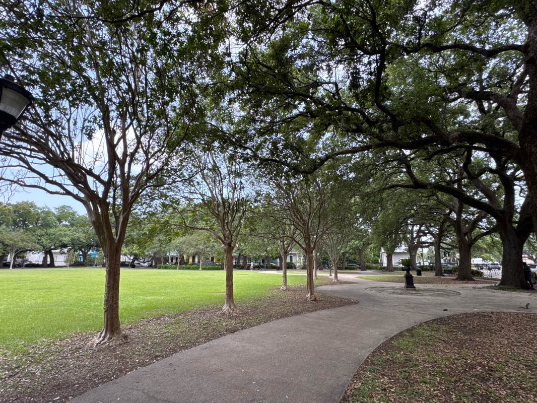 walking near me in Washington Square in summer