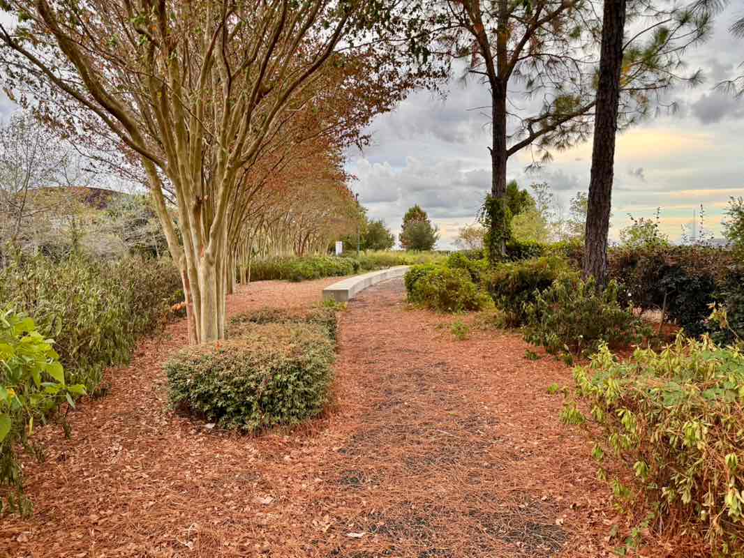 walking near me in Crescent Park in autumn