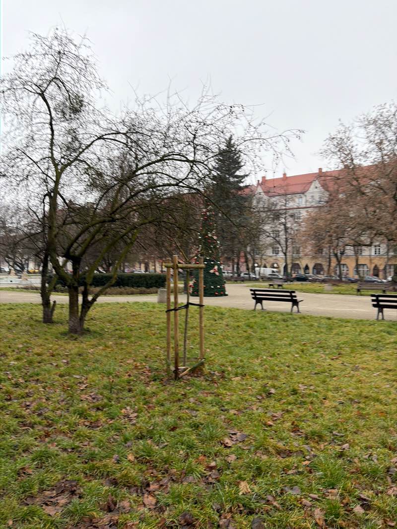 walking near me in Plac Akademicki in winter