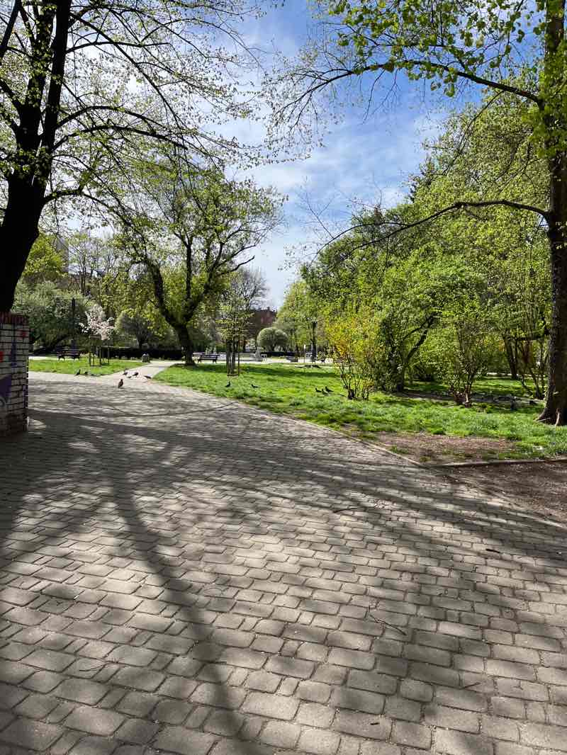 walking near me in Plac Akademicki in spring