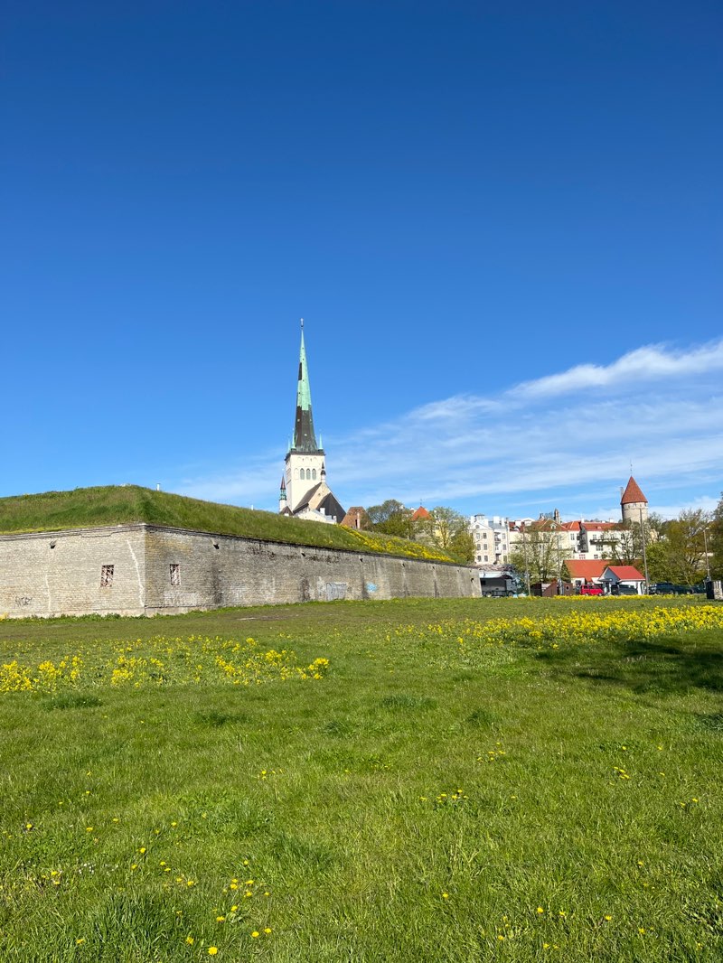 walking near me in Rannavärava haljak in spring