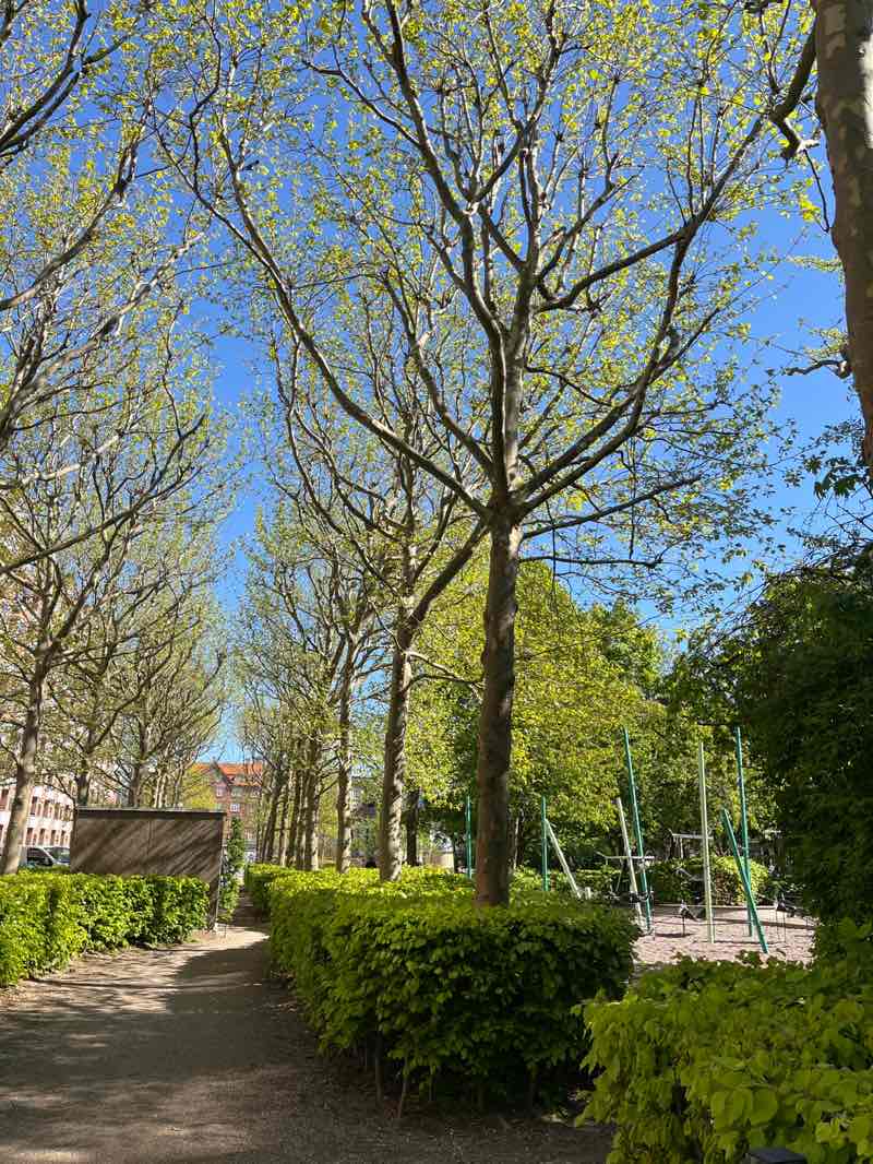 walking near me in Aksel Møllers Have in spring