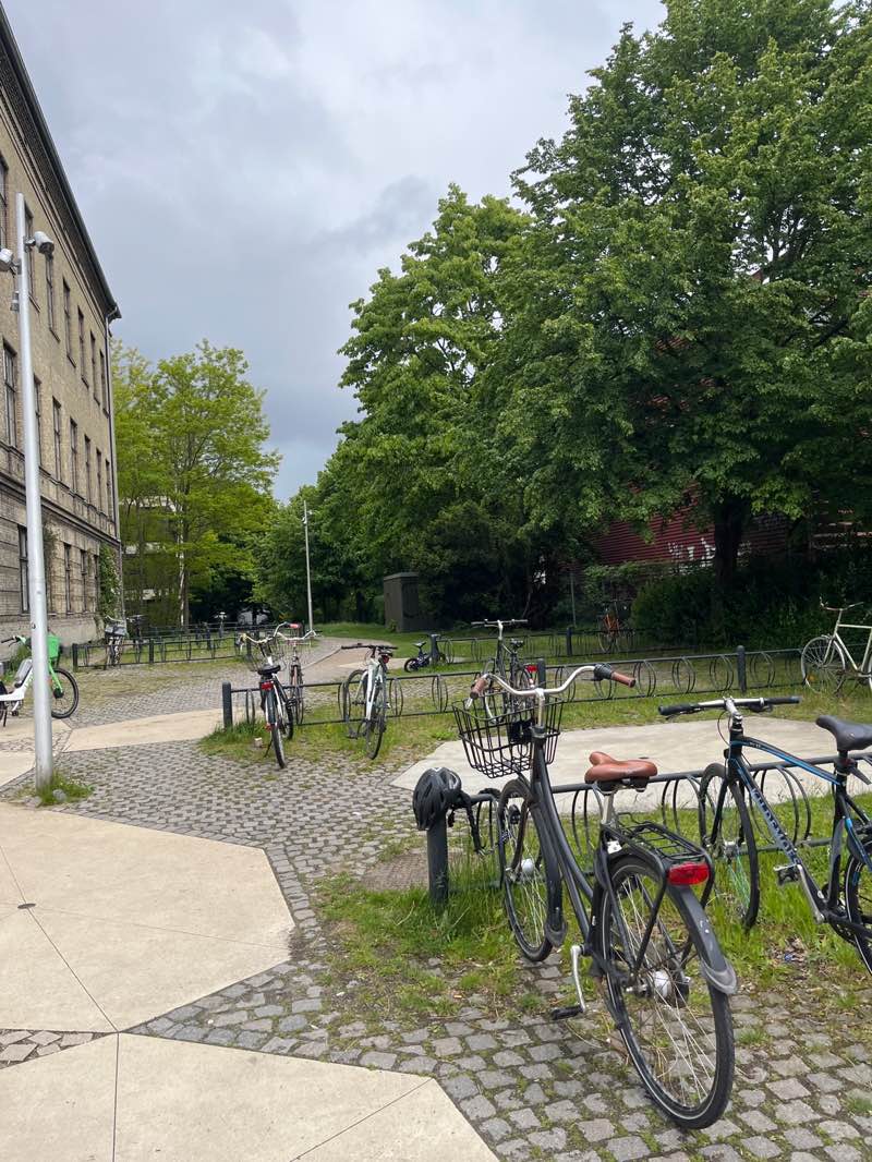 walking near me in Skov og Landskab Park in spring