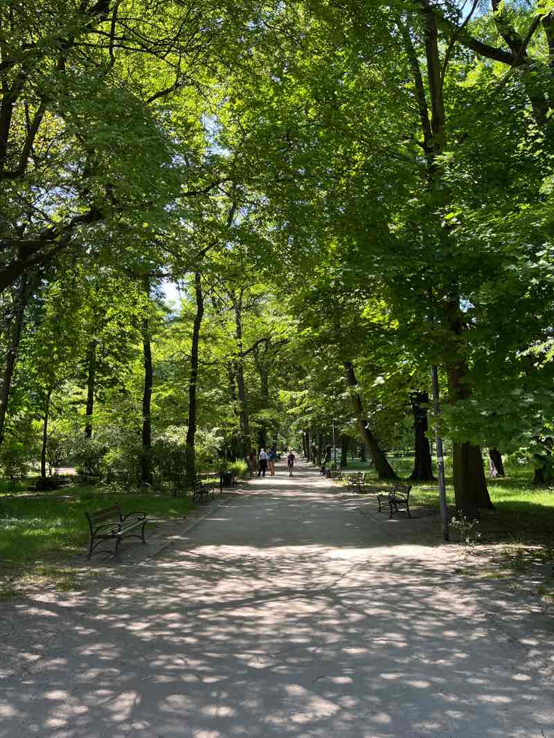 walking near me in Park Miejski im. Franciszka Kachla in summer