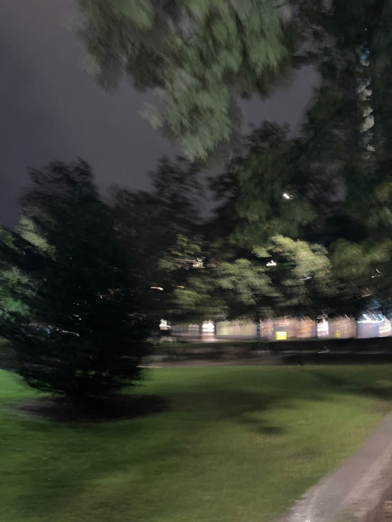 walking near me in Vaterlandsparken in autumn