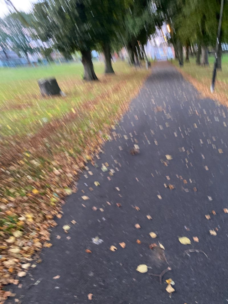 walking near me in Pool Bank Park in winter
