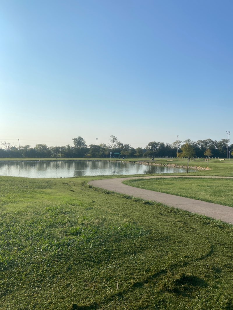 walking near me in Bruce Central park in autumn