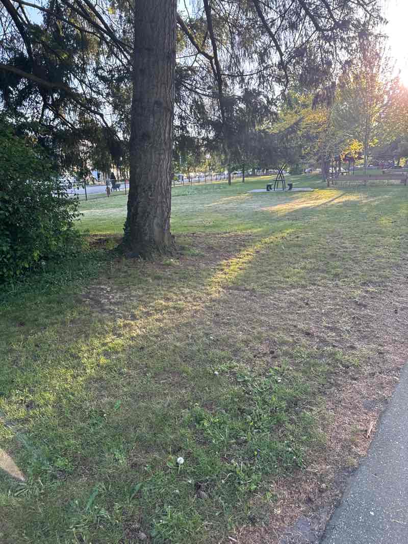 walking near me in Unwin Park in spring