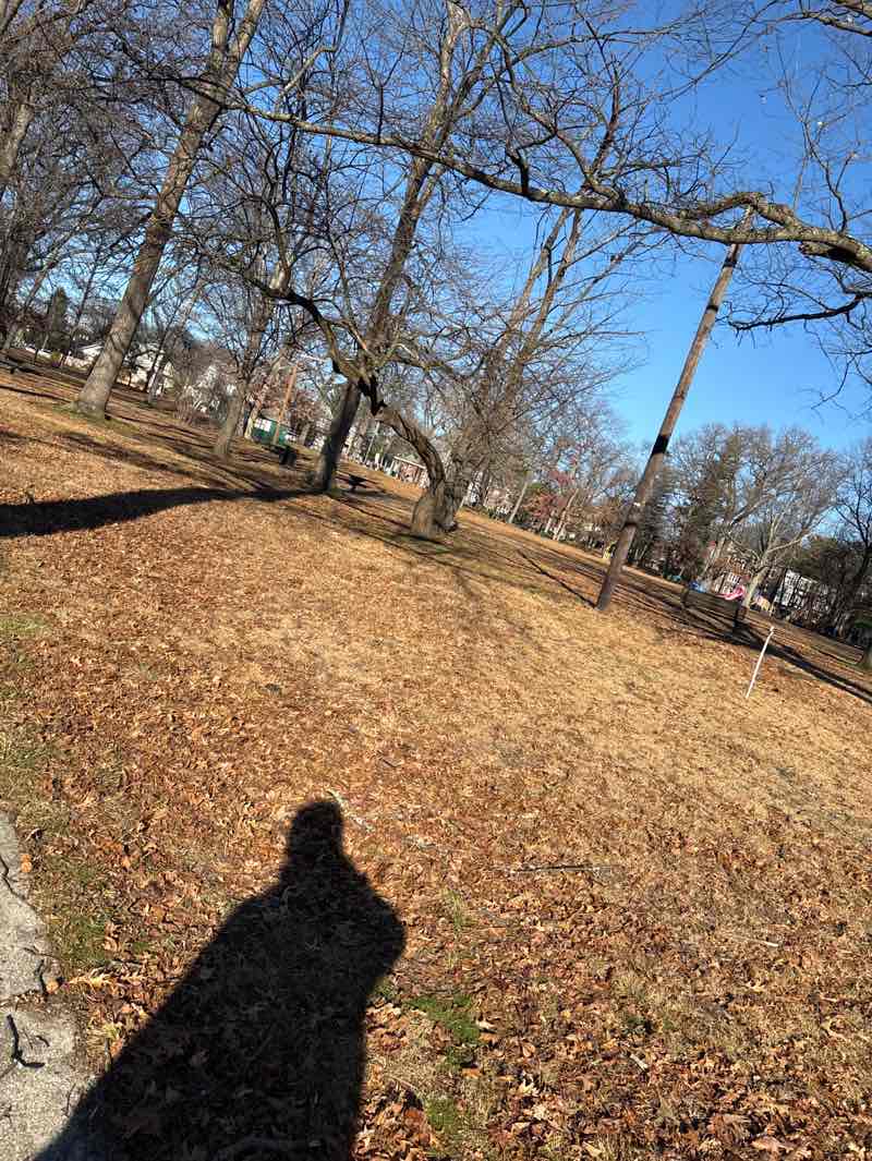 walking near me in Wellwood Park in winter