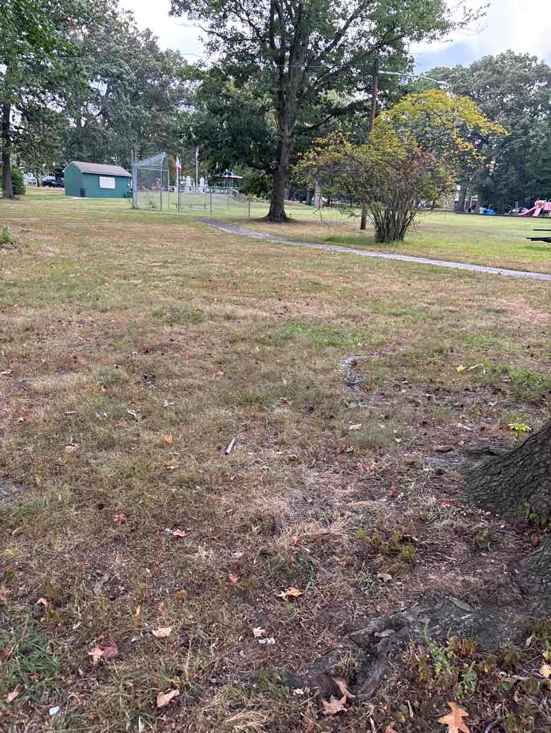 walking near me in Wellwood Park in autumn