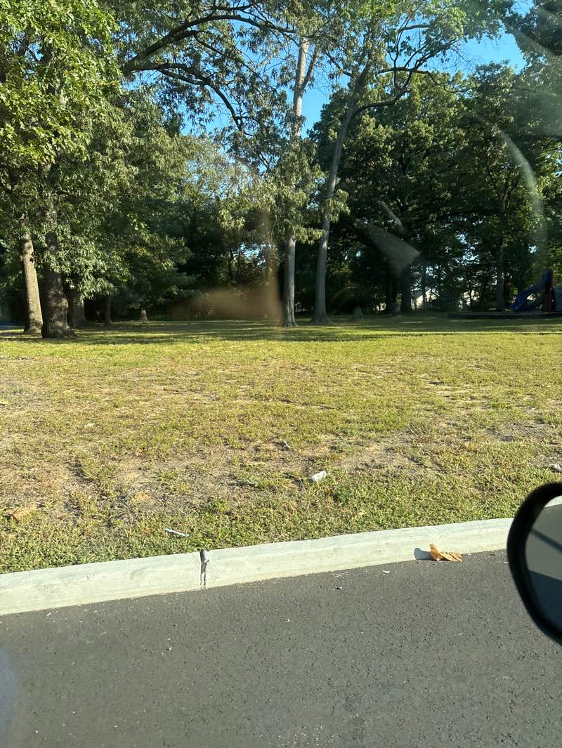 walking near me in Stockton Park in autumn