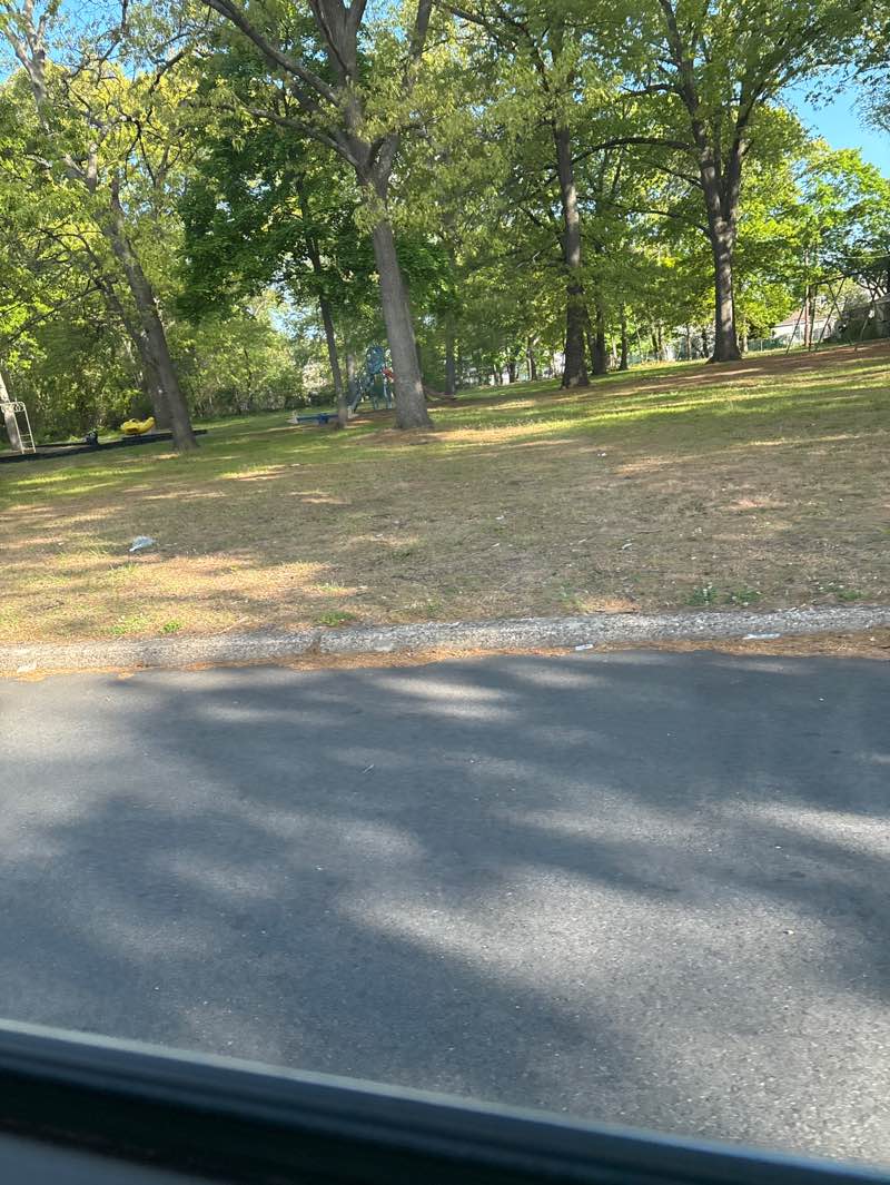 walking near me in Stockton Park in spring