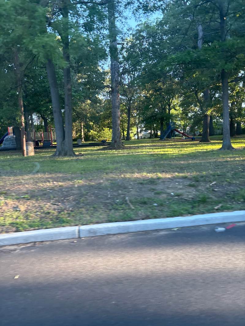 walking near me in Stockton Park in summer