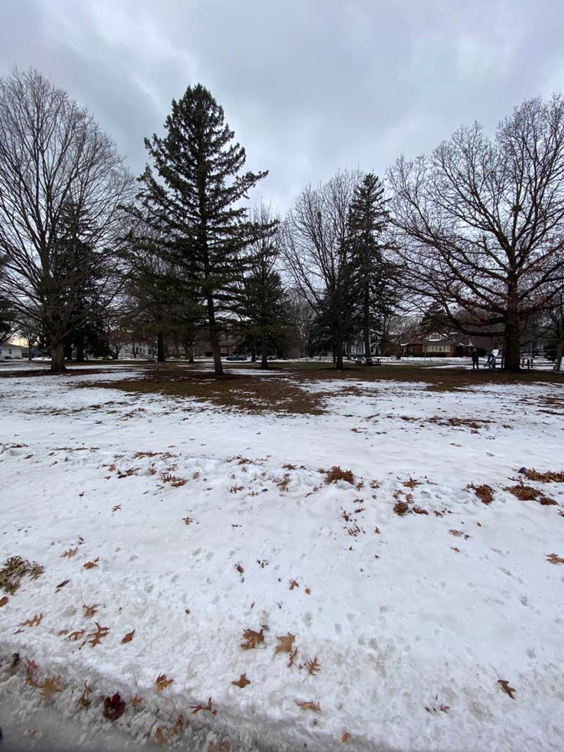 walking near me in Highland Square Park in winter