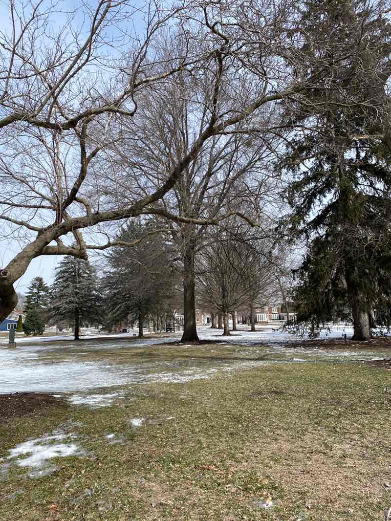 walking near me in Highland Square Park in spring
