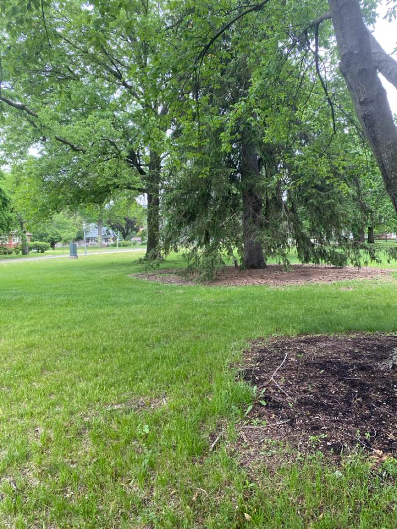 walking near me in Highland Square Park in summer