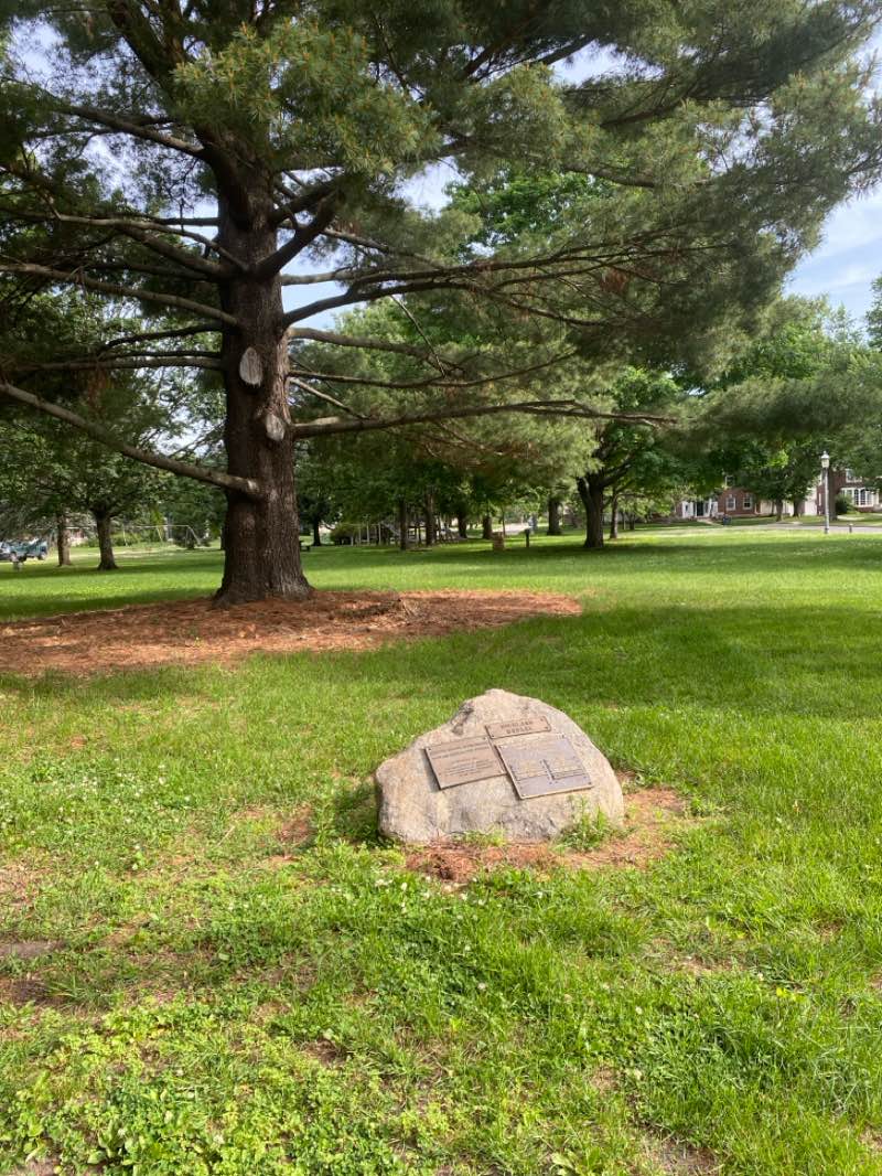 walking near me in Highland Square Park in summer