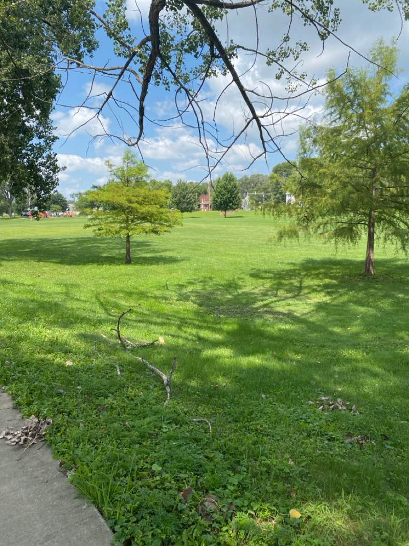walking near me in Lafayette Park in summer