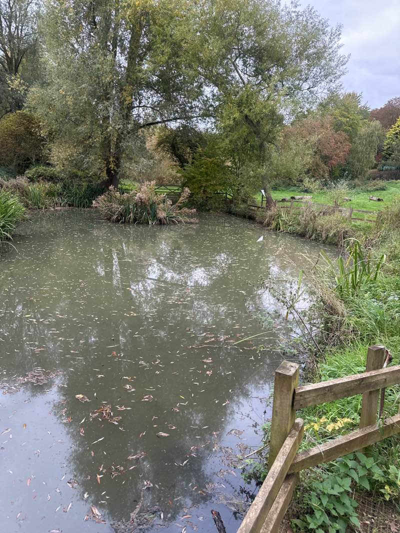 walking near me in Desborough Pocket Park in autumn